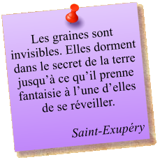 Les graines sont invisibles. Elles dorment dans le secret de la terre jusqu’à ce qu’il prenne fantaisie à l’une d’elles de se réveiller.  Saint-Exupéry