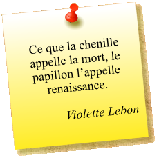 Ce que la chenille appelle la mort, le papillon l’appelle renaissance.   Violette Lebon